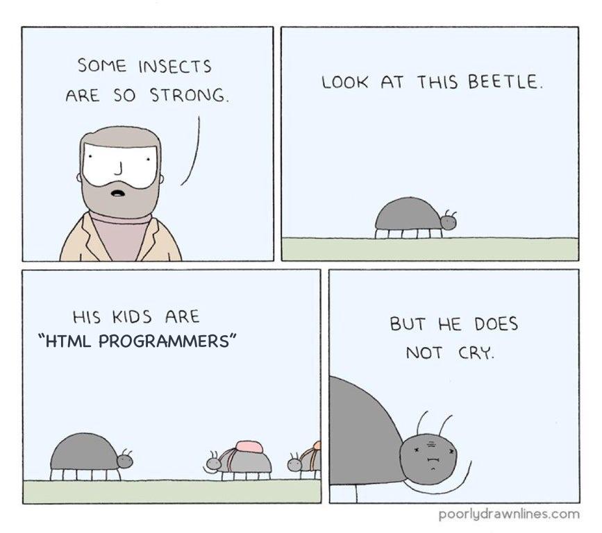 You have to let them play | programmer-memes, html-memes, programmers-memes, program-memes, ML-memes | ProgrammerHumor.io