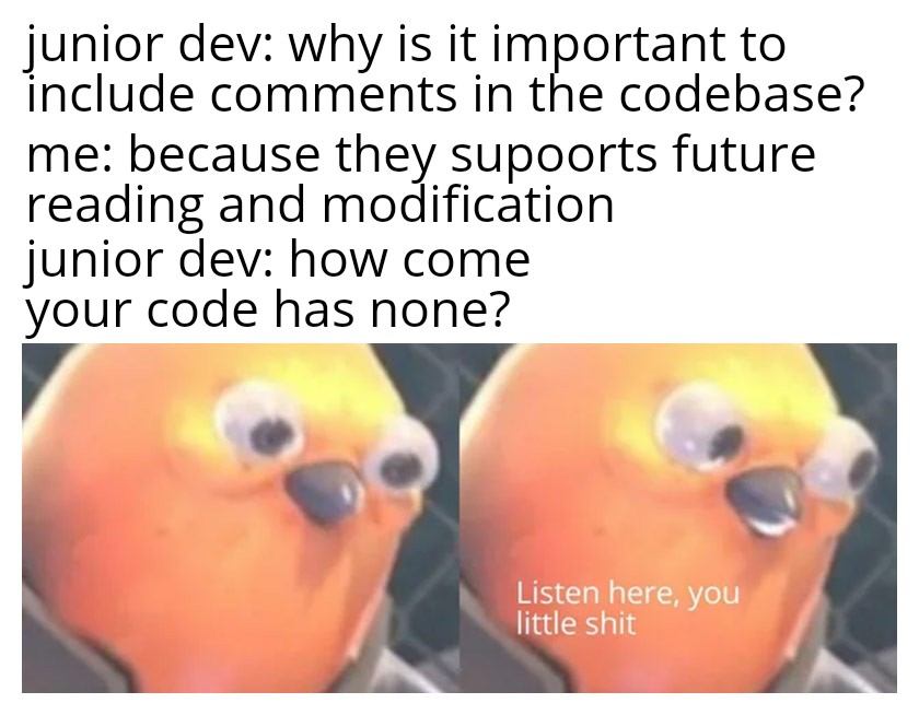 i write self explanatory code you dumdum | code-memes, IT-memes, comment-memes | ProgrammerHumor.io