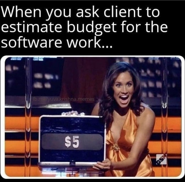 Budget....! | software-memes, cli-memes | ProgrammerHumor.io