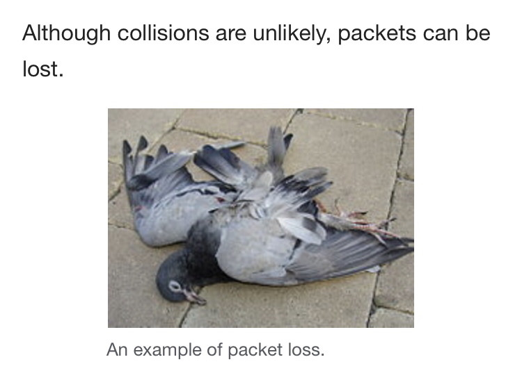 From the Wikipedia article, “IP over Avian Carriers” | art-memes | ProgrammerHumor.io