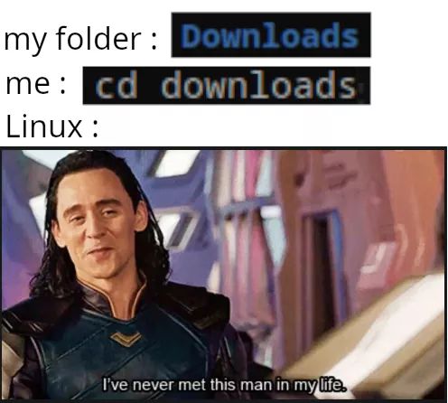 Linux be like | linux-memes, ux-memes | ProgrammerHumor.io