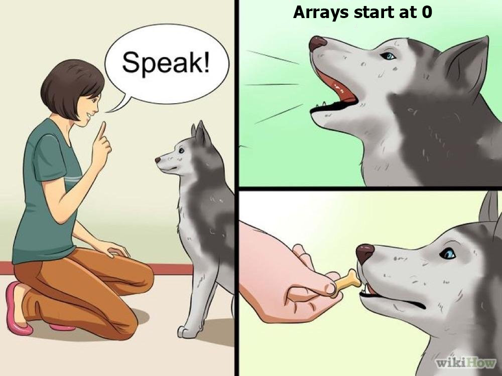 Am I late? | array-memes, arrays-memes | ProgrammerHumor.io