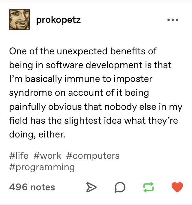 Imposter Syndrome | programming-memes, software-memes, computer-memes, development-memes, program-memes, test-memes, IT-memes, idea-memes, ide-memes | ProgrammerHumor.io