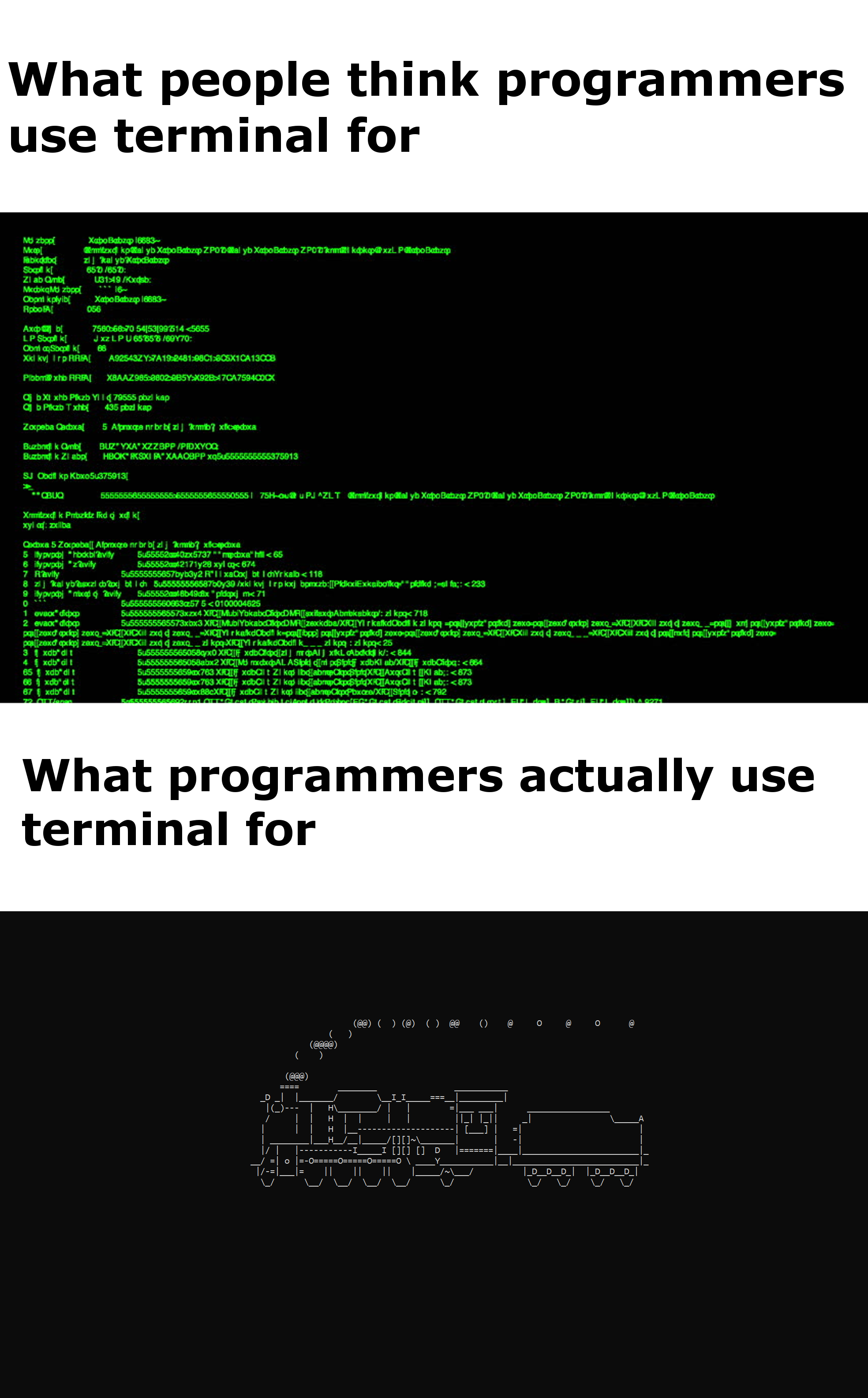 sudo apt-get install sl | programmer-memes, programmers-memes, program-memes, terminal-memes, sudo-memes | ProgrammerHumor.io