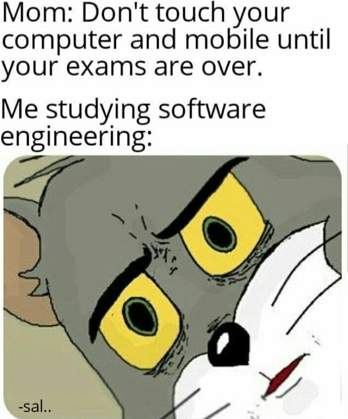 Okay then... | software-memes, computer-memes, engineer-memes, software engineer-memes, engineering-memes | ProgrammerHumor.io