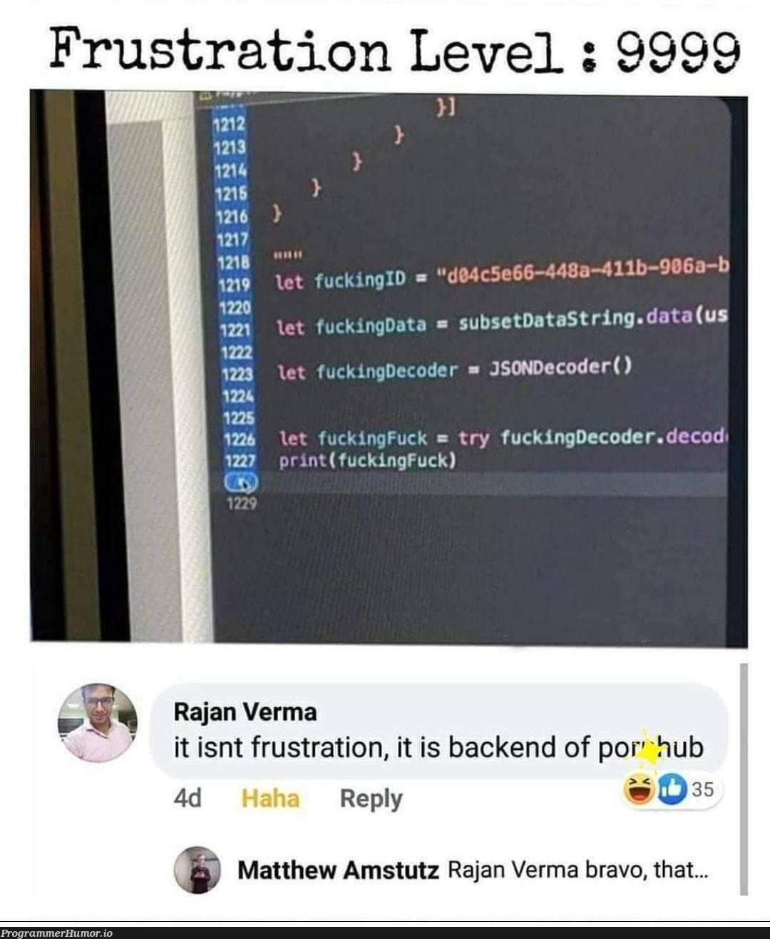 Man knows how to name his variables | code-memes, coder-memes, backend-memes, variables-memes, try-memes, data-memes, json-memes, string-memes, IT-memes | ProgrammerHumor.io