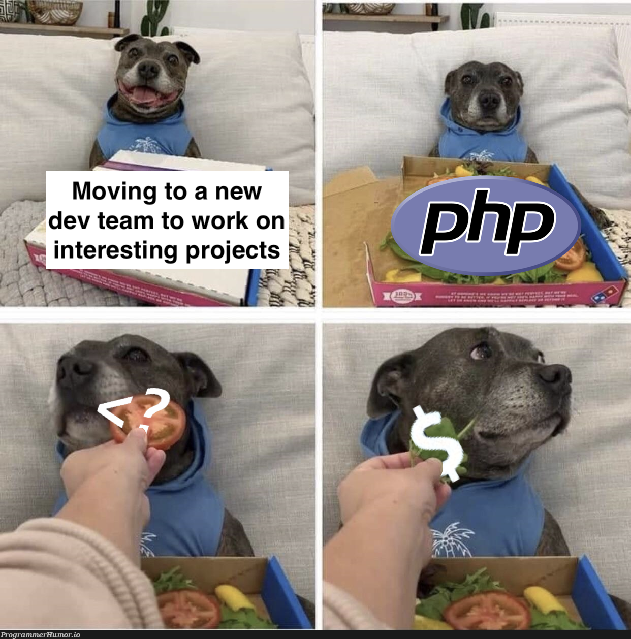 Getting my hopes up | rest-memes | ProgrammerHumor.io