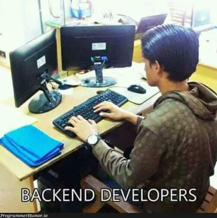 Backend developer! | developer-memes, backend-memes | ProgrammerHumor.io