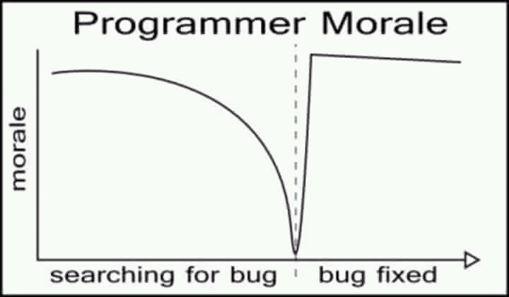 The only true graph. | programmer-memes, program-memes, bug-memes, fix-memes, bug fix-memes, search-memes | ProgrammerHumor.io