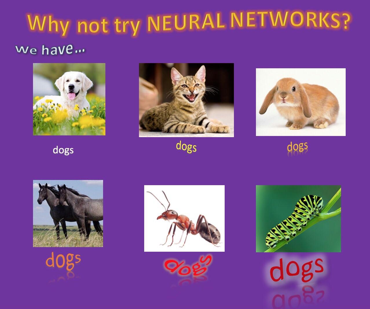 Why not try NEURAL NETWORKS? | try-memes, network-memes, networks-memes, neural network-memes | ProgrammerHumor.io