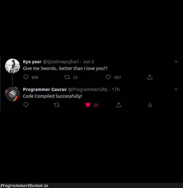 Code Compiled Successfully! | programmer-memes, code-memes, program-memes, rds-memes | ProgrammerHumor.io