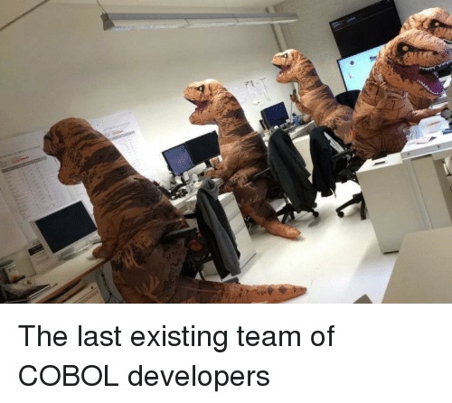 Programmer Humor, Team, and Cobol | programmer-memes, developer-memes, program-memes | ProgrammerHumor.io