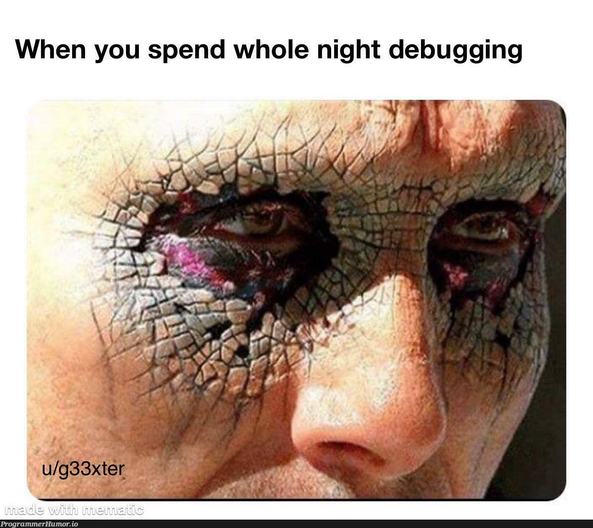 It’s not a bug, it’s a feature. | debugging-memes, bug-memes, debug-memes, feature-memes | ProgrammerHumor.io