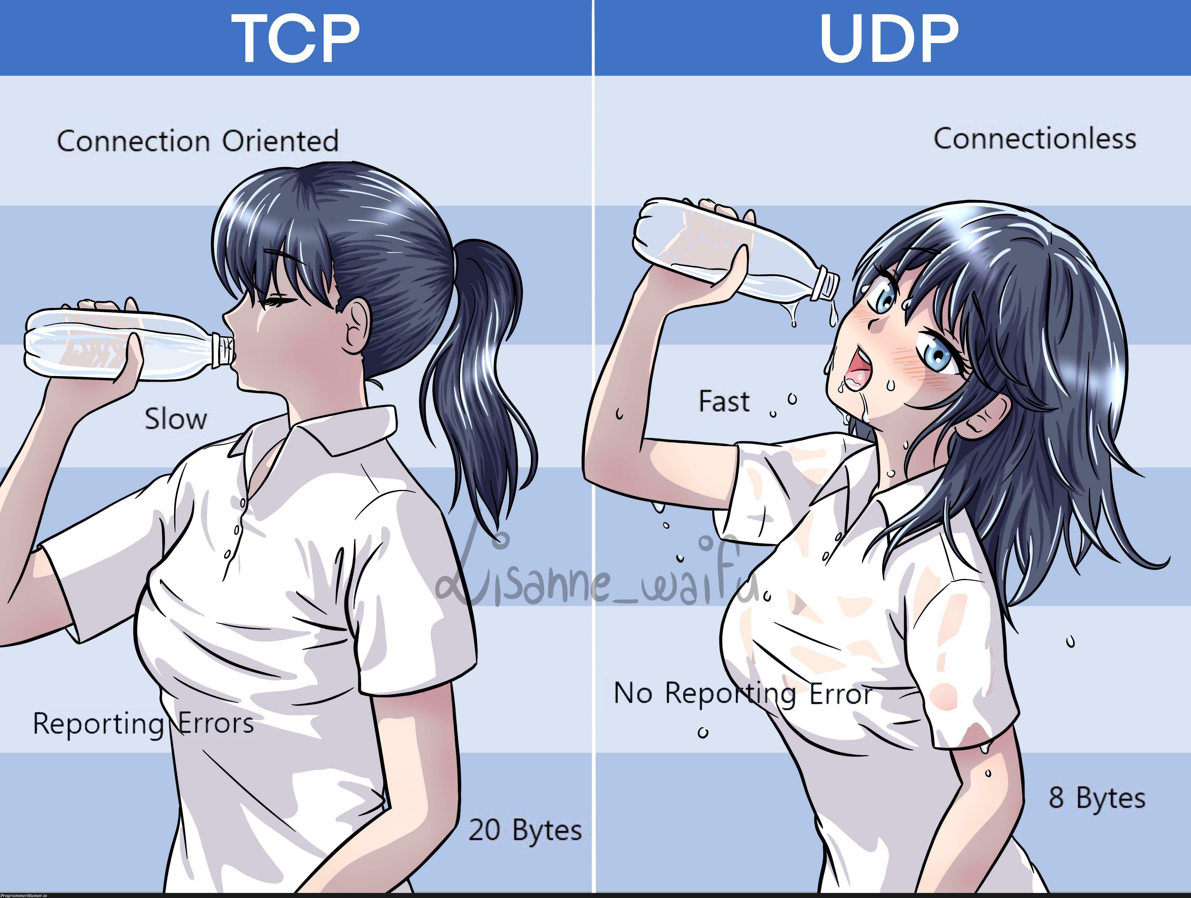 TCP and UDP visualized ;) | errors-memes, error-memes, tcp-memes, udp-memes | ProgrammerHumor.io