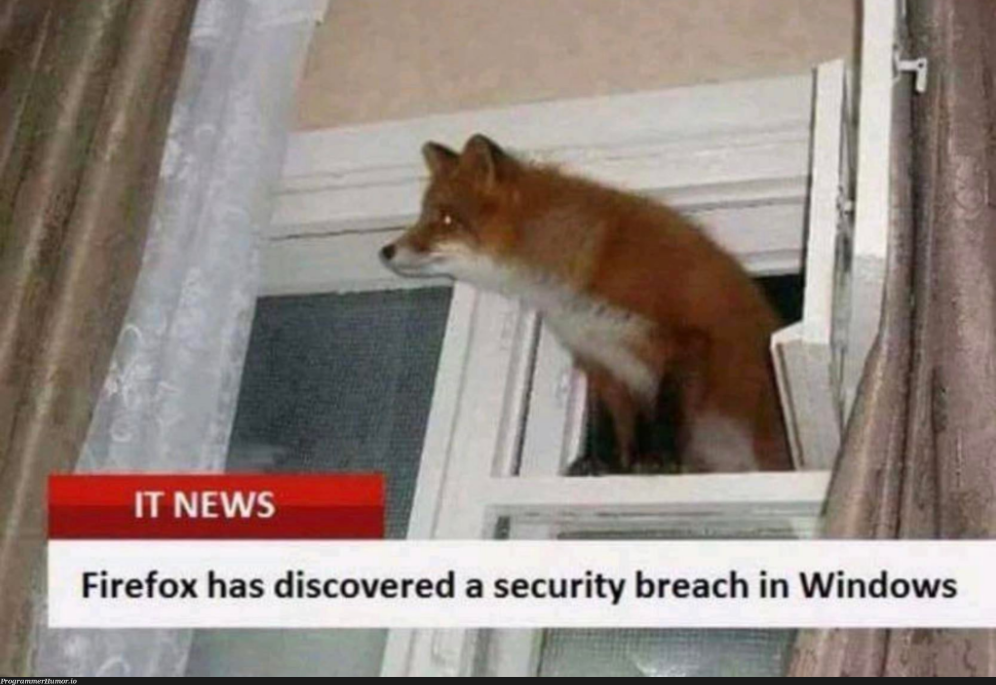 All hail Firefox | security-memes, windows-memes, firefox-memes | ProgrammerHumor.io