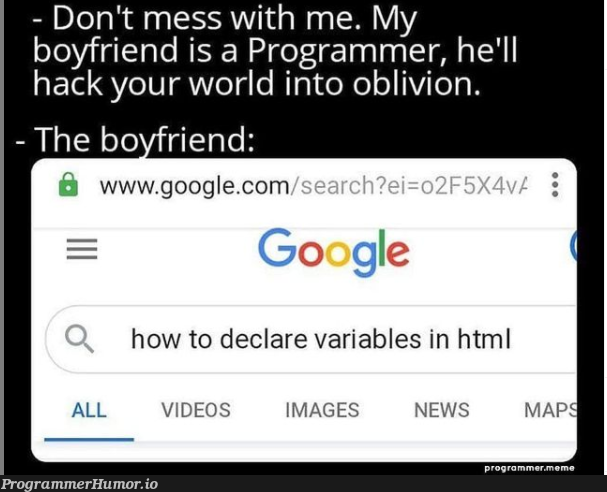 The boyfrend | programmer-memes, html-memes, variables-memes, program-memes, google-memes, image-memes, ide-memes, ML-memes | ProgrammerHumor.io