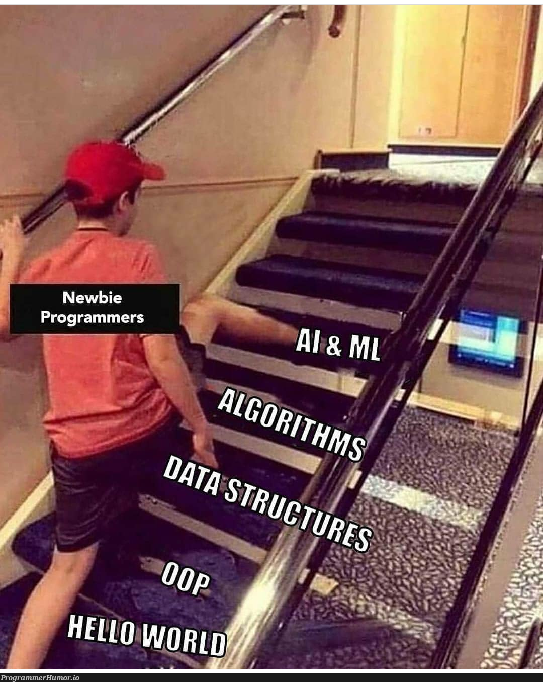 ML/AL expert without basic knowledge? | edge-memes, ML-memes | ProgrammerHumor.io