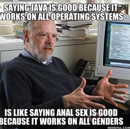 Other languages work on all platforms, but Java is the best! No sarcasm! | java-memes, forms-memes, language-memes | ProgrammerHumor.io