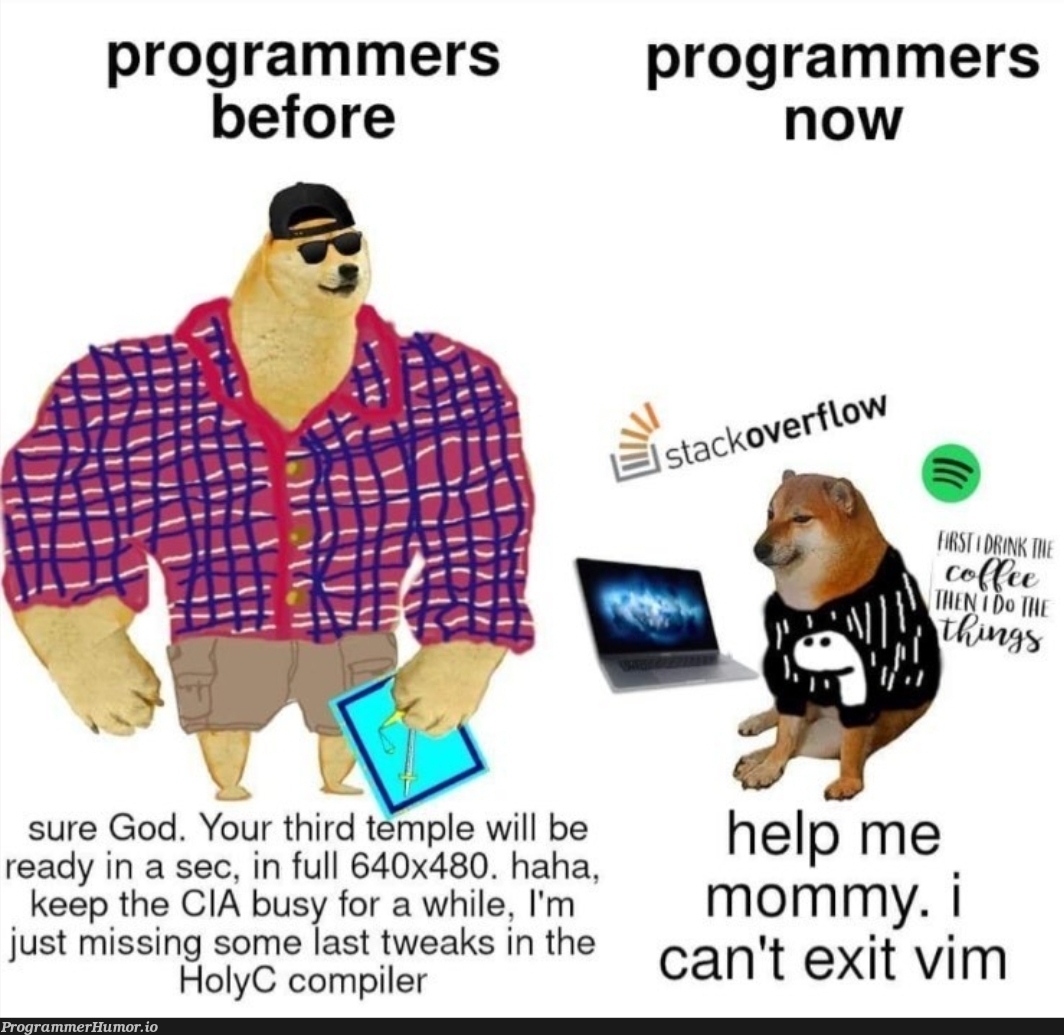 HolyChad | programmer-memes, programmers-memes, vim-memes, program-memes, compiler-memes | ProgrammerHumor.io