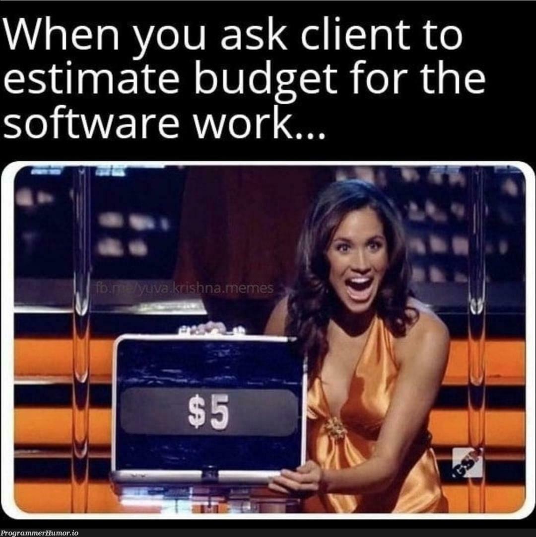 Budget | software-memes, cli-memes | ProgrammerHumor.io