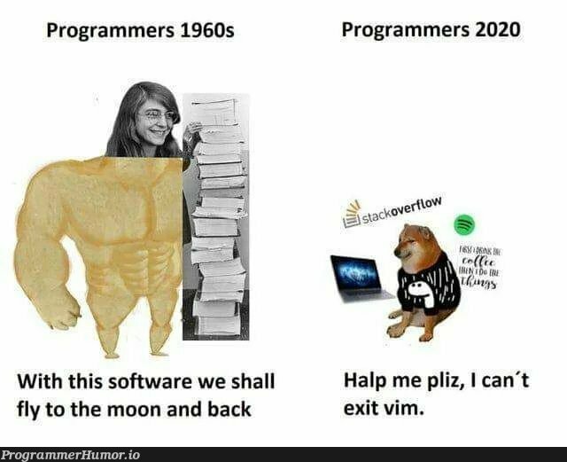 Was going through old memes on my phone and found this | programmer-memes, software-memes, vim-memes, program-memes | ProgrammerHumor.io