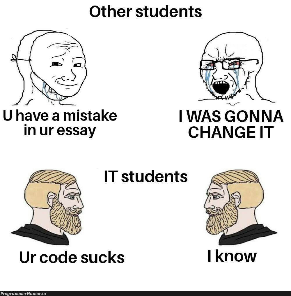 Chad IT students | code-memes, IT-memes | ProgrammerHumor.io