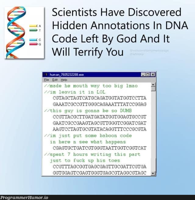 God comments his code | code-memes, IT-memes, comment-memes | ProgrammerHumor.io