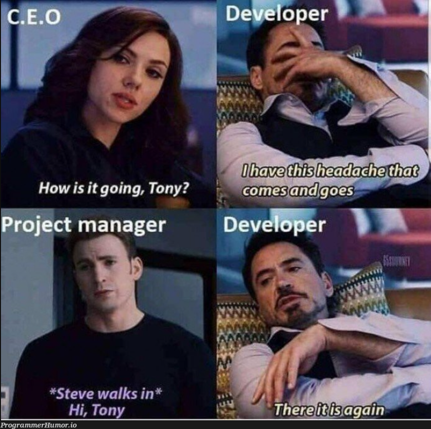 Project Manager | manager-memes | ProgrammerHumor.io