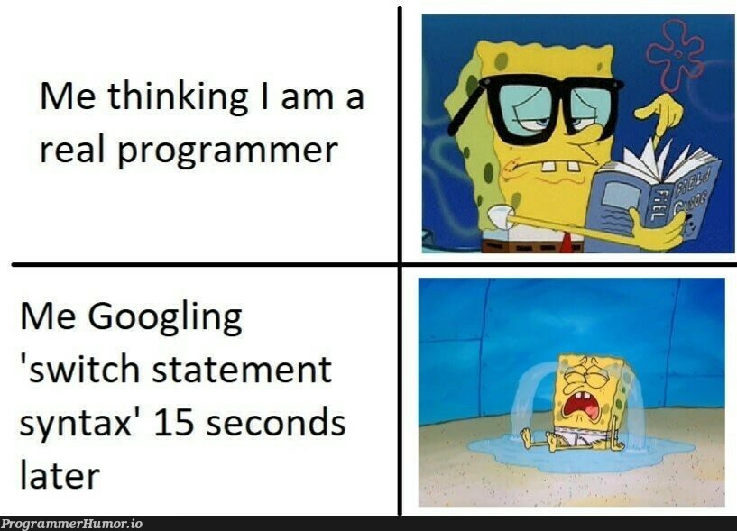 Can you Relate | programmer-memes, program-memes | ProgrammerHumor.io