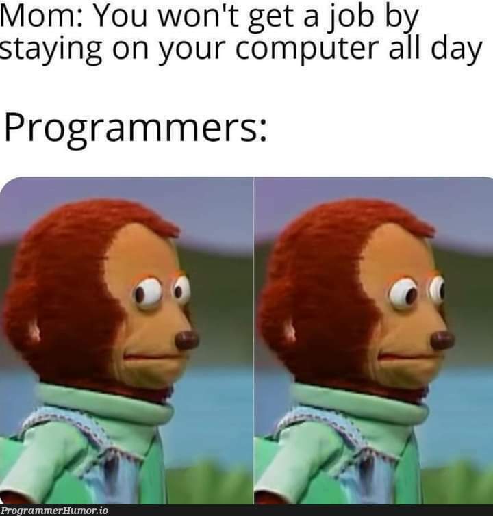 Yes mum! | programmer-memes, computer-memes, programmers-memes, program-memes | ProgrammerHumor.io