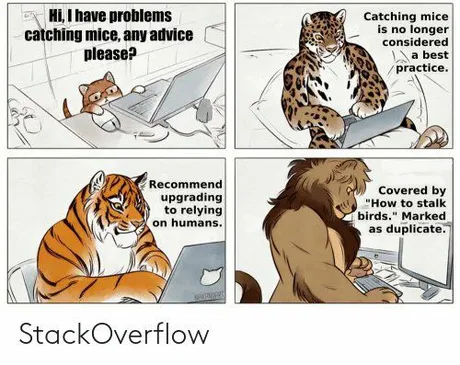 Really wonderful people | stackoverflow-memes, stack-memes, catch-memes, overflow-memes, ide-memes | ProgrammerHumor.io