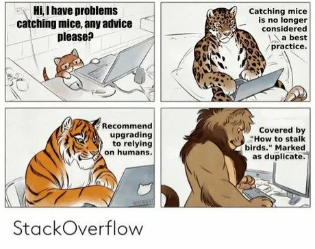 Stackoverflow | stackoverflow-memes, stack-memes, catch-memes, overflow-memes | ProgrammerHumor.io