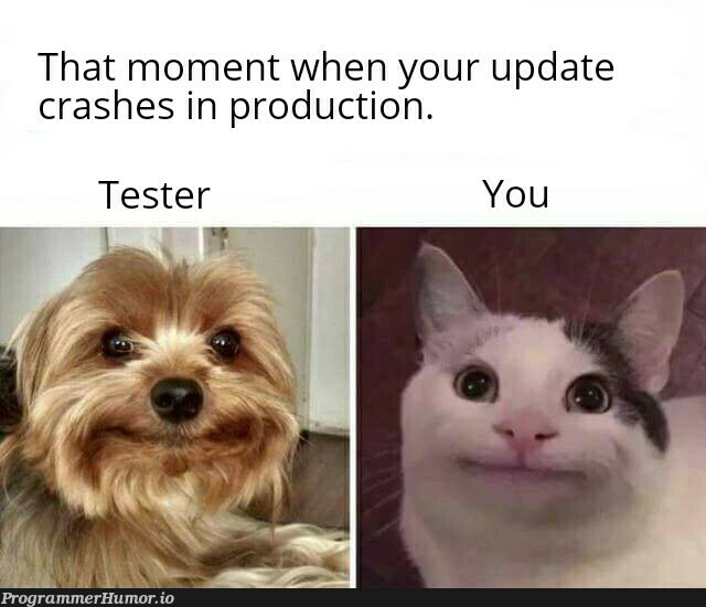 I exactly had the same expression | test-memes, express-memes, date-memes, production-memes, crash-memes, product-memes | ProgrammerHumor.io