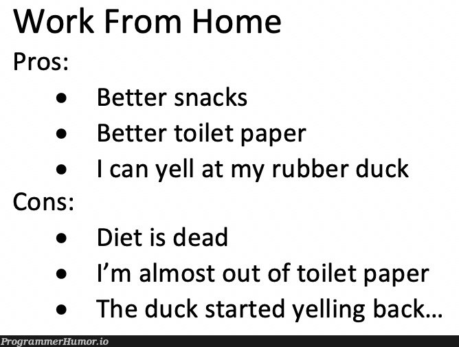 Rubber Ducky Debugging From Home | debugging-memes, bug-memes, debug-memes | ProgrammerHumor.io