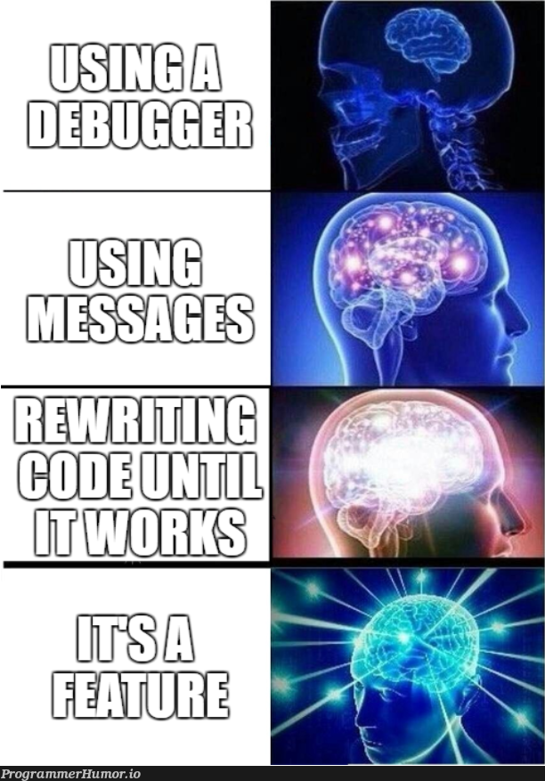 How To Debug | bug-memes, debug-memes | ProgrammerHumor.io