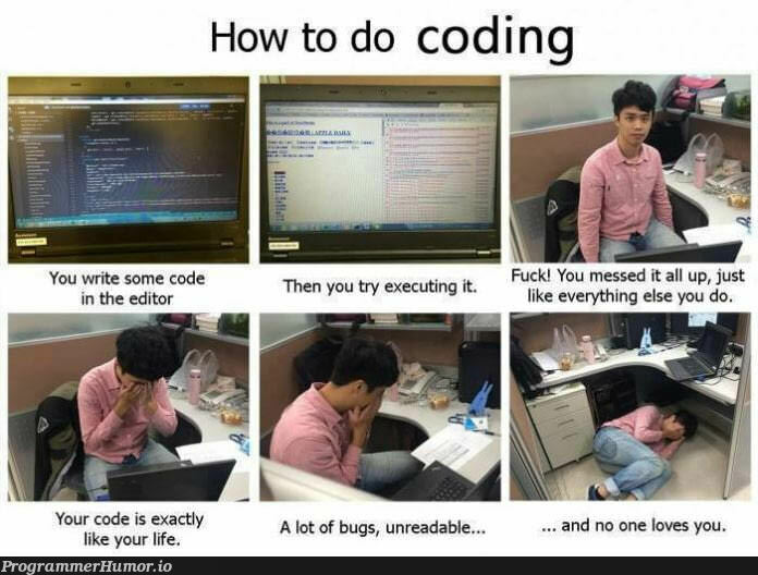 Sometimes I don't even know why I try. | code-memes, try-memes, bugs-memes, bug-memes, IT-memes | ProgrammerHumor.io