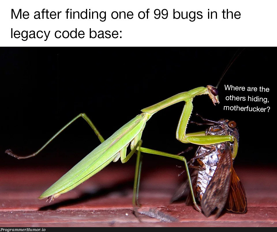 Damn fuckers hiding in places I didn't even know existed!! | code-memes, bugs-memes, bug-memes | ProgrammerHumor.io