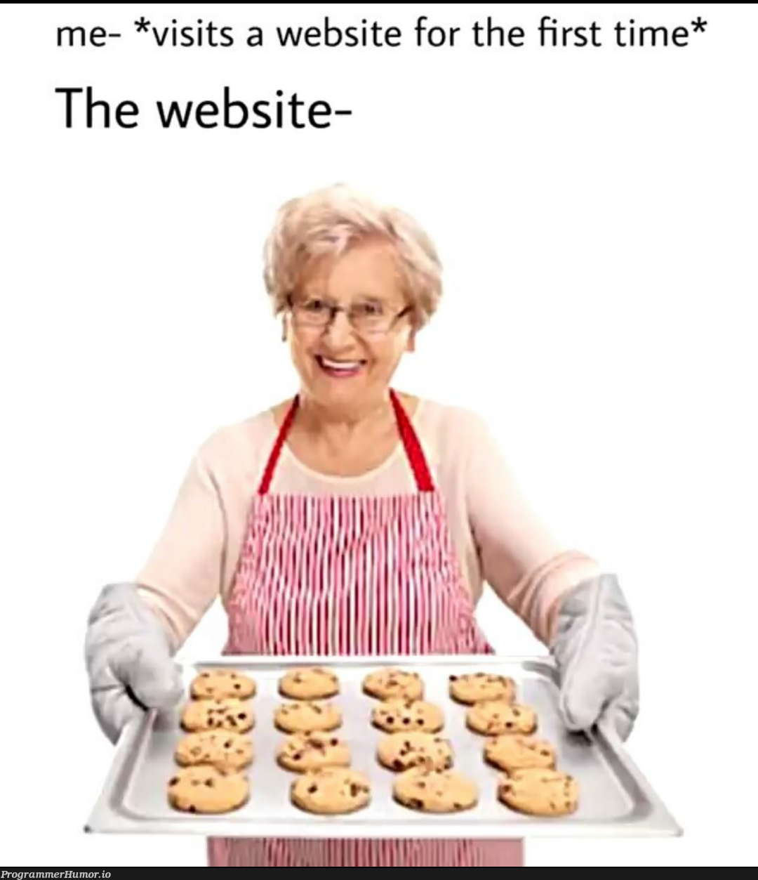 May I serve you some cookies? | web-memes, website-memes, cookie-memes | ProgrammerHumor.io