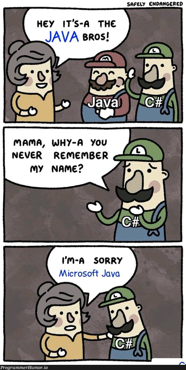 java bros | java-memes, microsoft-memes | ProgrammerHumor.io