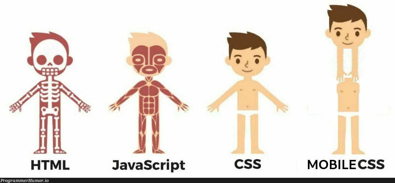 Mobile websites | css-memes, javascript-memes, java-memes, web-memes, website-memes, cs-memes | ProgrammerHumor.io