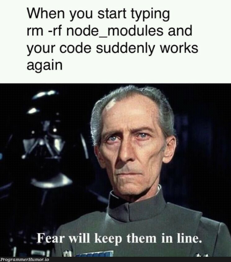 Hail rm -rf | code-memes, node-memes, node_modules-memes, rm -rf-memes | ProgrammerHumor.io