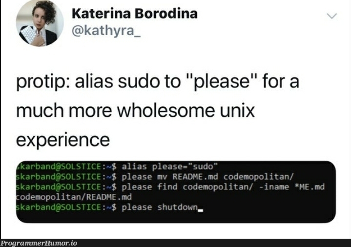 Please | unix-memes, sudo-memes | ProgrammerHumor.io