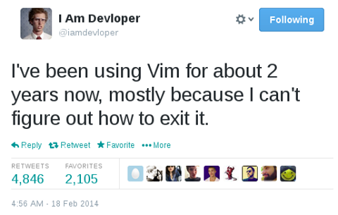 Me too, friend, me too... | vim-memes | ProgrammerHumor.io