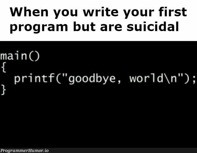 First Program | program-memes | ProgrammerHumor.io