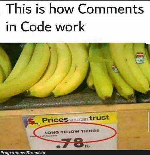 Commented | code-memes, comment-memes, rust-memes | ProgrammerHumor.io