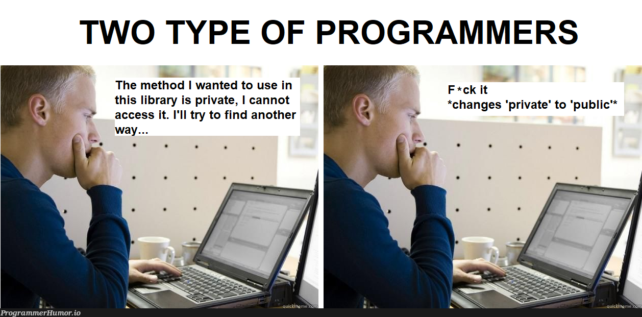 I'm more the second type of programmer, I fork an existing library and make my own changes | programmer-memes, program-memes, try-memes, fork-memes, IT-memes, public-memes, private-memes | ProgrammerHumor.io