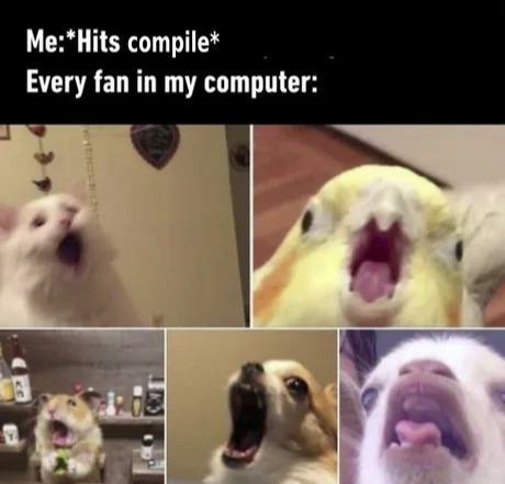 hits compile | computer-memes | ProgrammerHumor.io