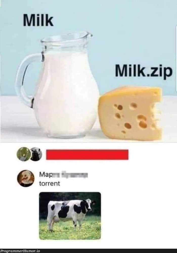 Milk.zip | ProgrammerHumor.io