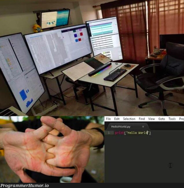 h e l l o. w o r l d | ProgrammerHumor.io