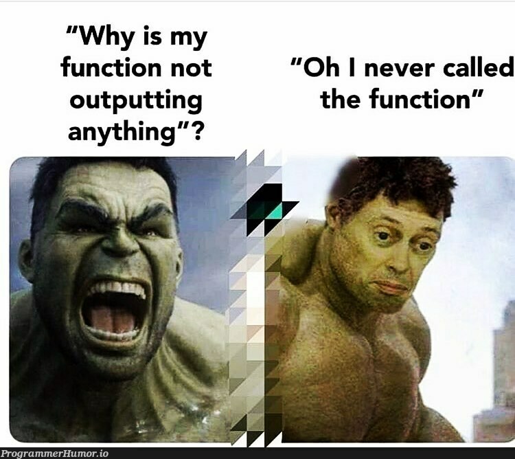 Why is my function not outputting anything | function-memes | ProgrammerHumor.io